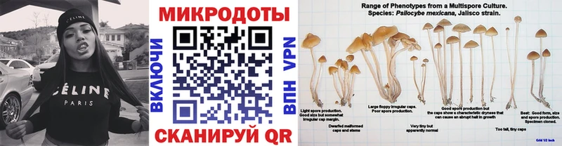Псилоцибиновые грибы Magic Shrooms  купить закладку  Заволжье 